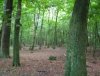 DSCF1221.jpg