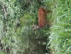 20130604_123450.jpg