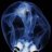 skull333