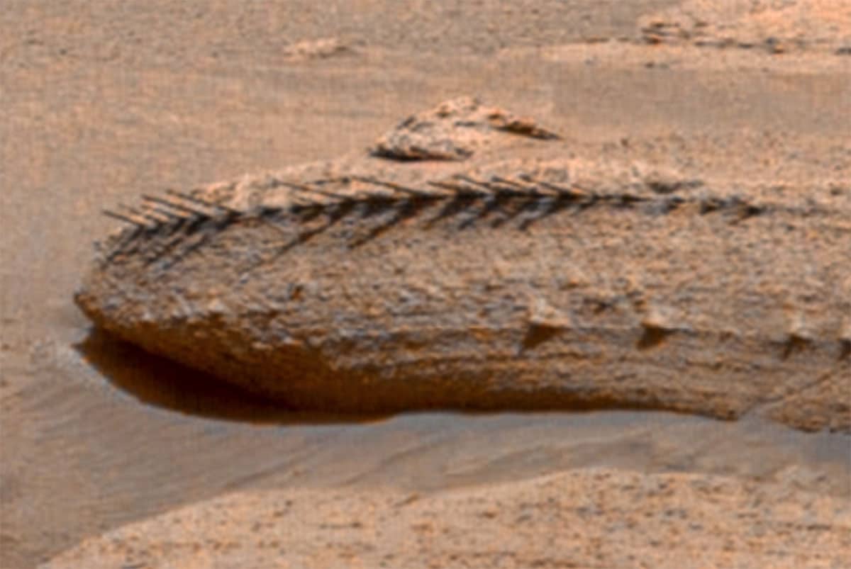 www.grenzwissenschaft-aktuell.de
