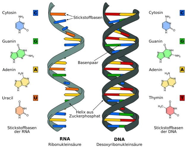 www.grenzwissenschaft-aktuell.de