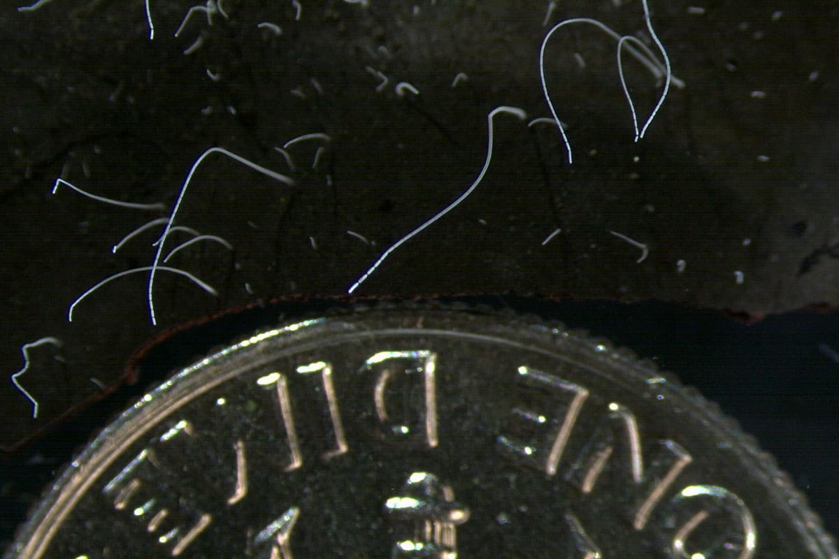 www.grenzwissenschaft-aktuell.de