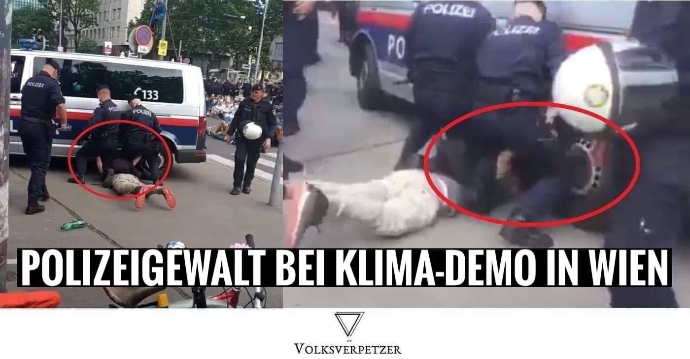 www.volksverpetzer.de