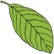 www.biologie-seite.de
