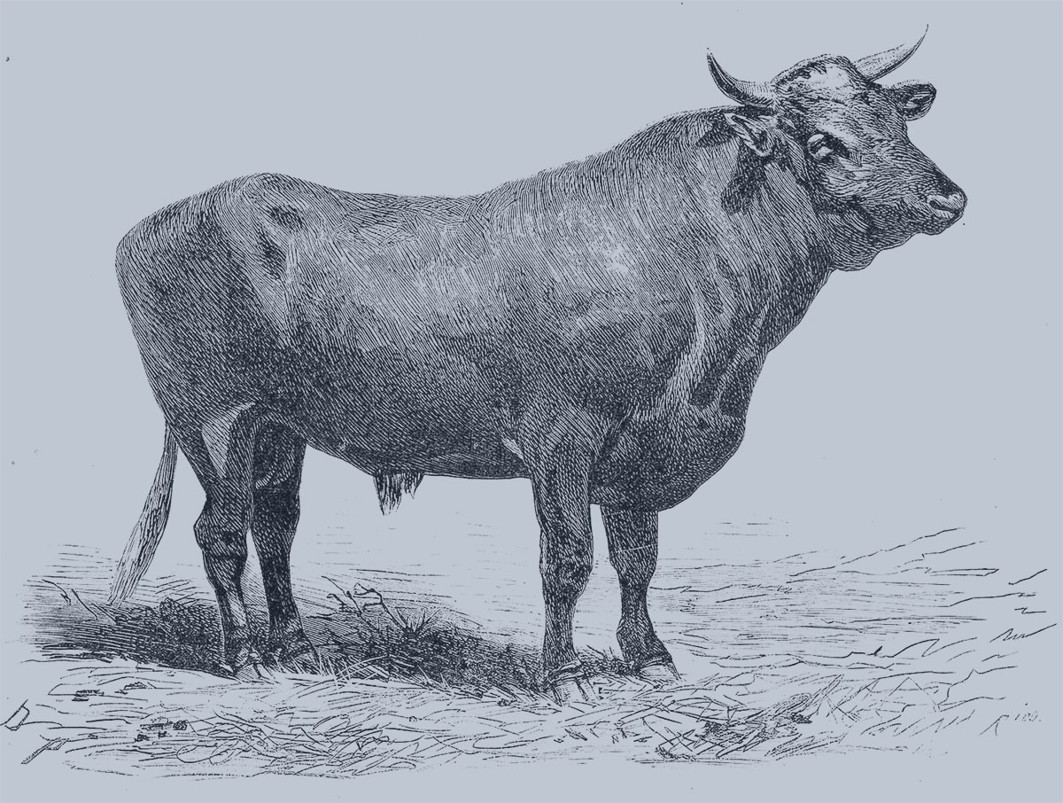 www.grenzwissenschaft-aktuell.de